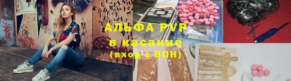 прущие грибы Верхний Тагил