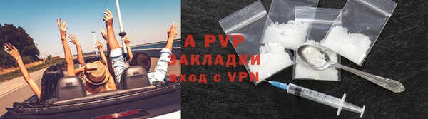 прущие грибы Верхний Тагил