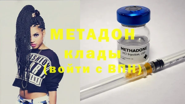 прущие грибы Верхний Тагил