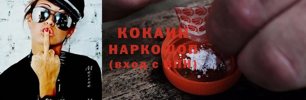 прущие грибы Верхний Тагил