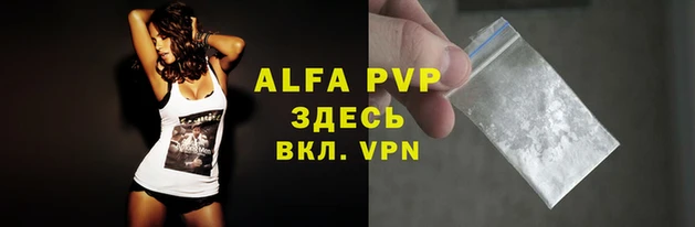 прущие грибы Верхний Тагил