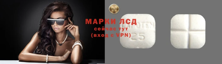прущие грибы Верхний Тагил