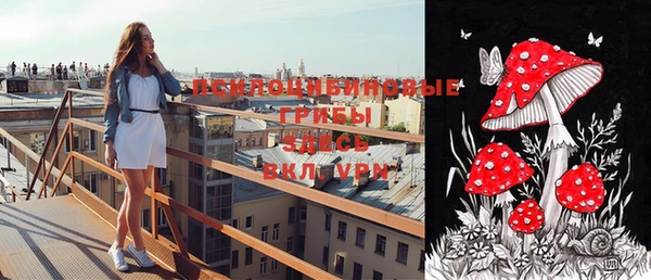 ALPHA PVP Верея