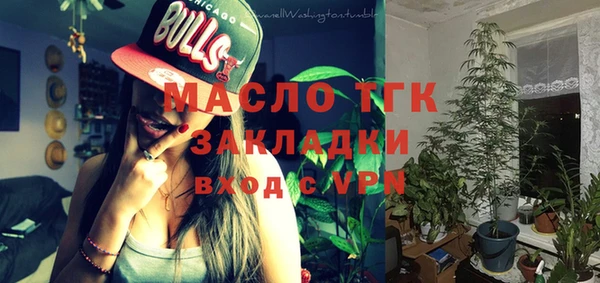 прущие грибы Верхний Тагил