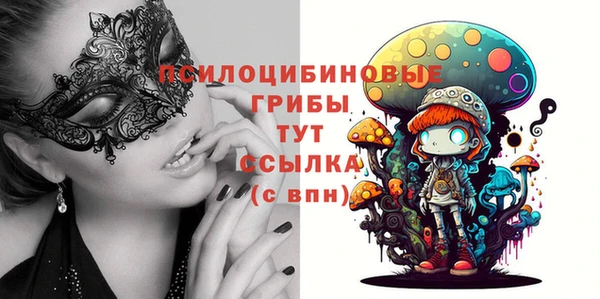 прущие грибы Верхний Тагил