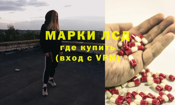 прущие грибы Верхний Тагил